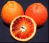 arancia tarocco