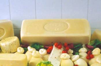 caciocavallo �dop�