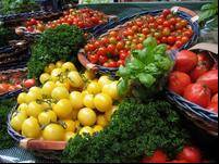4 variet� di pomodoro